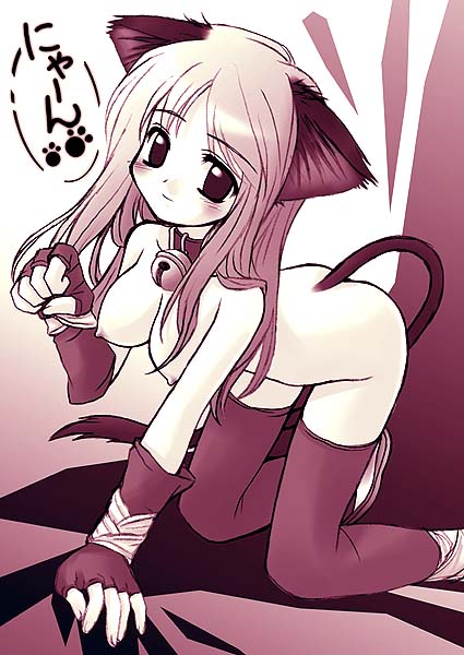 animal ears, blush, breasts, cat ears, cat tail, collar, long hair, no panties, nude, tail, thighhighs