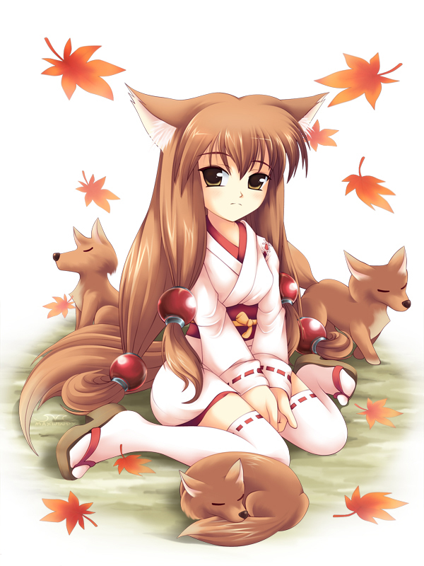 animal ears, fox, fox ears, japanese clothes, kimono, long hair, miko, tail, thighhighs