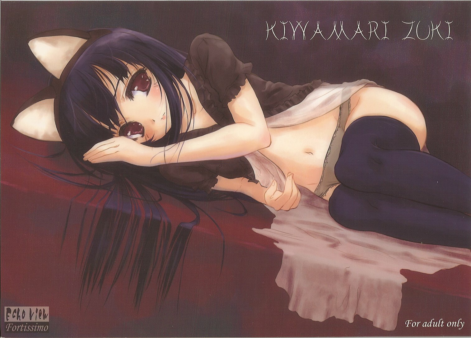 hazuki (tsukuyomi), tsukuyomi moonphase, 00s, animal ears, blush, cat ears, long hair, midriff, open clothes, open shirt, open skirt, panties, shirt, skirt, thighhighs, underwear
