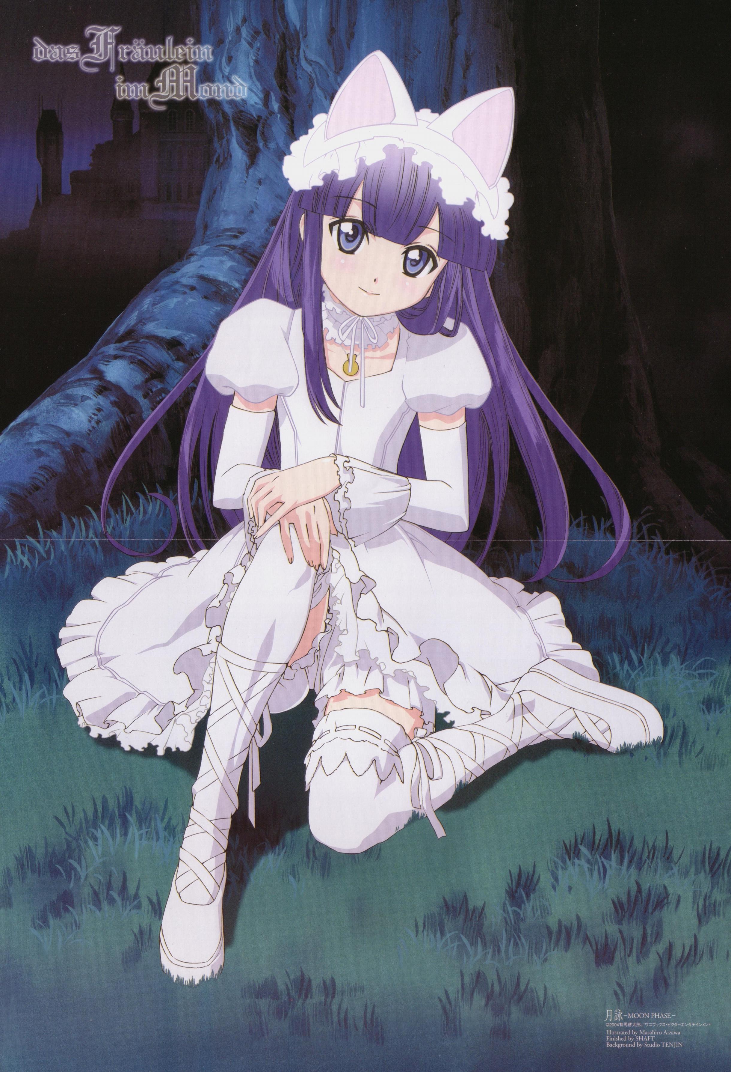 hazuki (tsukuyomi), tsukuyomi moonphase, absurdres, highres, scan, 00s, animal ears, blush, cat ears, long hair