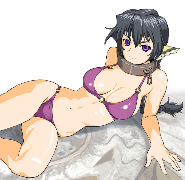 karulau, utawarerumono, 00s, 1girl, animal ears, bikini, blue hair, braid, cat ears, chain, collar, female focus, purple eyes, simple background, solo, swimsuit