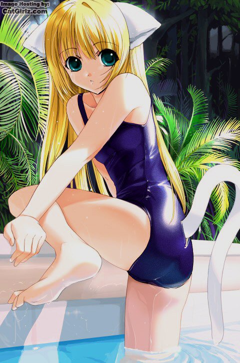 animal ears, cat ears, cat tail, one-piece swimsuit, school swimsuit, short hair, swimsuit, tail