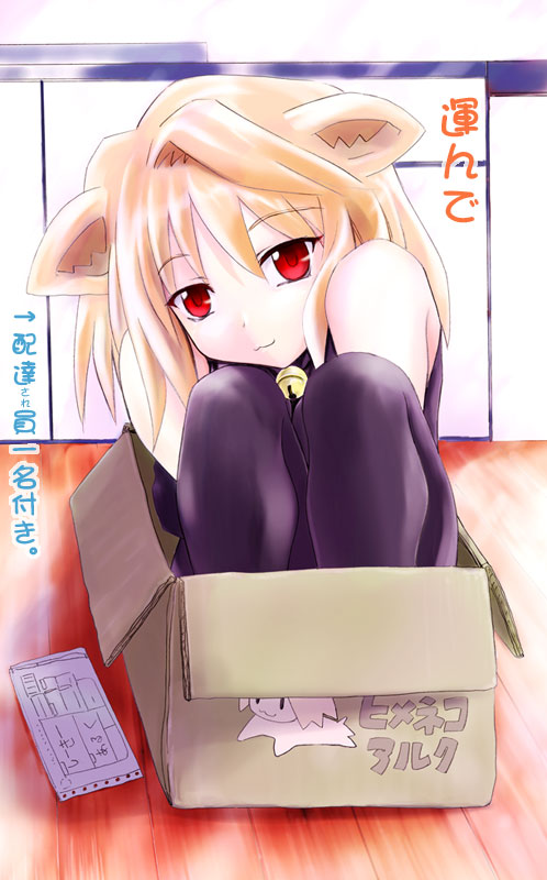 type-moon, :3, animal ears, box, cat ears, short hair, thighhighs