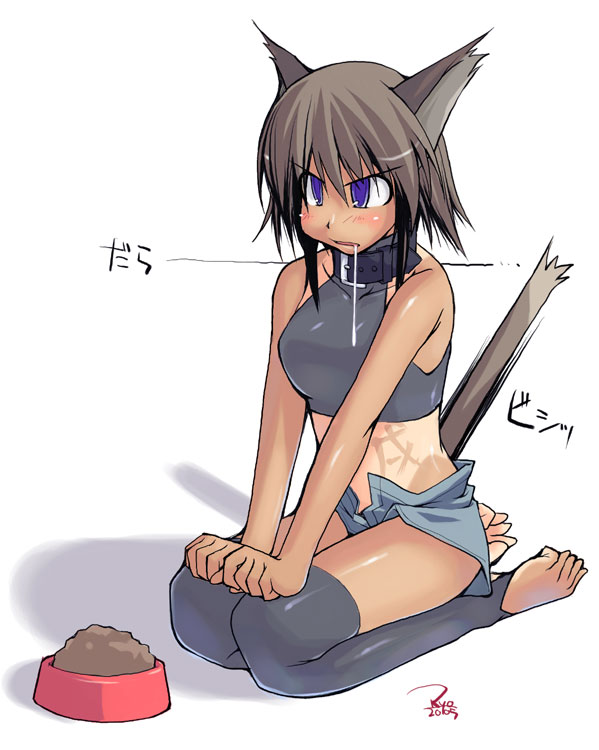 animal ears, barefoot, blue eyes, blush, brown hair, cat ears, cat tail, collar, saliva, short hair, shorts, tail, tan, thighhighs, toeless legwear