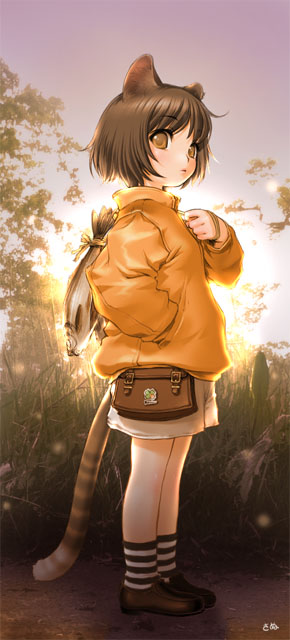 animal ears, brown eyes, brown hair, cat ears, fish, flat chest, short hair, shorts, socks