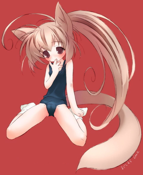 rugoshiera, 00s, 1girl, 2002, ahoge, animal ears, blue one-piece swimsuit, blue school swimsuit, blush, brown eyes, brown hair, cameltoe, flat chest, fox ears, fox girl, fox tail, loli, long hair, one-piece swimsuit, ponytail, red background, school swimsuit, sitting, socks, swimsuit, tail, white socks
