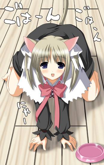 animal ears, barefoot, blue eyes, blush, brown hair, cat ears, dress, short hair, twintails