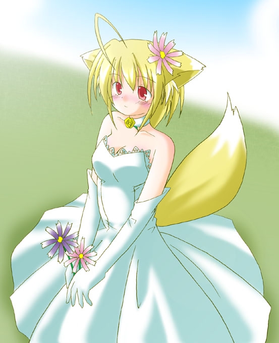 ahoge, animal ears, blonde hair, blush, bride, collar, dress, elbow gloves, flower, fox ears, gloves, red eyes, short hair, wedding dress