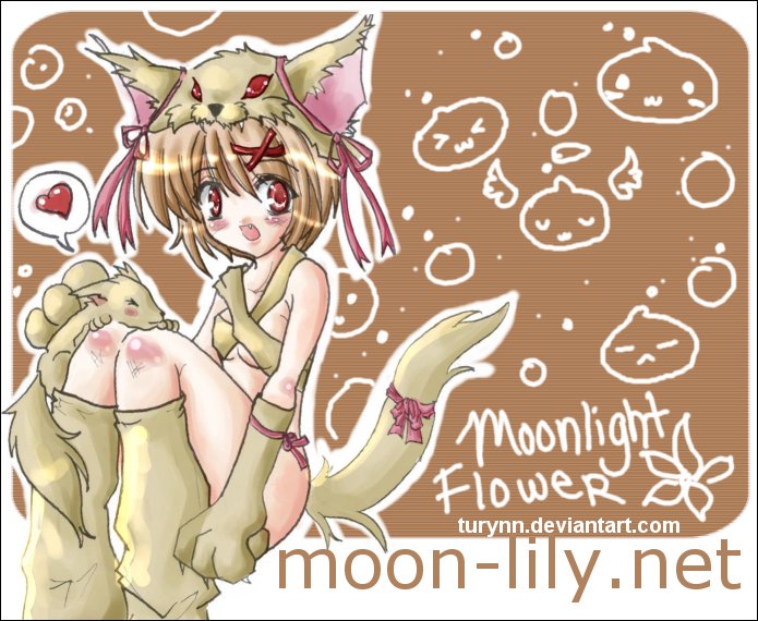 moonlight flower, ragnarok online, animal ears, blonde hair, bow, fang, fox, fox ears, game, gloves, hat, loli, no panties, red eyes, short hair, thighhighs