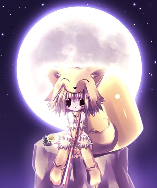 paco, moonlight flower, ragnarok online, 1girl, animal, animal ears, bell, blonde hair, brown eyes, closed mouth, dot mouth, female focus, fox ears, game, gloves, hat, moon, no panties, short hair, sky, solo, star (sky), starry sky, tail, thighhighs, yellow hat