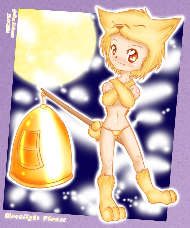moonlight flower, ragnarok online, animal ears, blonde hair, brown eyes, fang, fox, fox ears, game, gloves, hat, panties, short hair, split-toe footwear, thighhighs, underwear