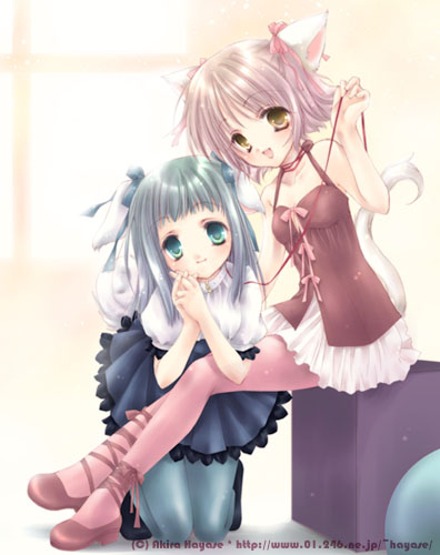 akira hayase, lowres, 2girls, animal ears, blonde hair, blue eyes, blue hair, bow, brown hair, cat ears, dog ears, dress, halterneck, indoors, long hair, looking at viewer, multiple girls, pantyhose, ribbon, short hair, skirt, smile, yellow eyes