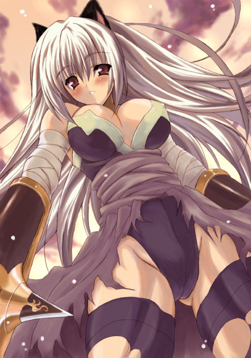 assassin (ragnarok online), ragnarok online, tagme, animal ears, breasts, cat ears