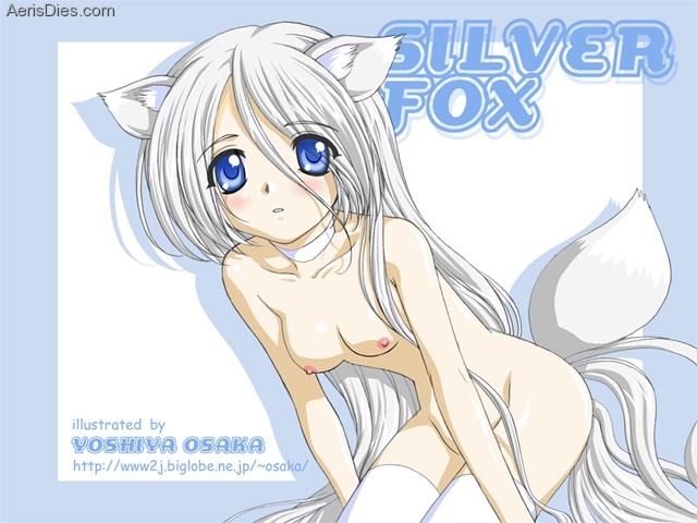 animal ears, blue eyes, blush, breasts, collar, flat chest, fox ears, fox tail, long hair, nude, tail, thighhighs, watermark, white hair, yoshiya osaka