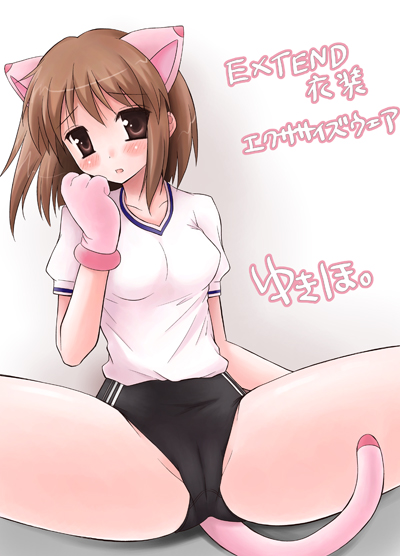 animal ears, blush, brown eyes, brown hair, buruma, cat ears, cat tail, gloves, gym uniform, short hair, tail