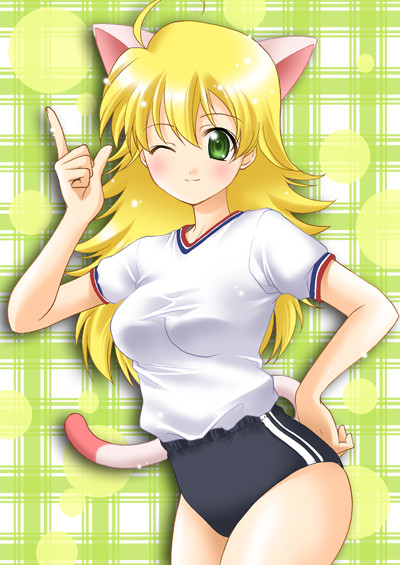 ahoge, animal ears, blonde hair, buruma, cat ears, cat tail, green eyes, gym uniform, long hair, tail