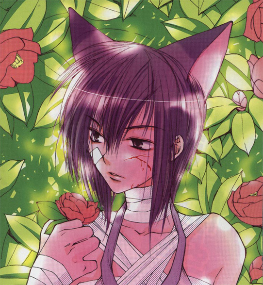 aoyagi ritsuka, loveless, 00s, animal ears, bandages, blood, cat boy, cat ears, flower, male focus, purple hair, rose