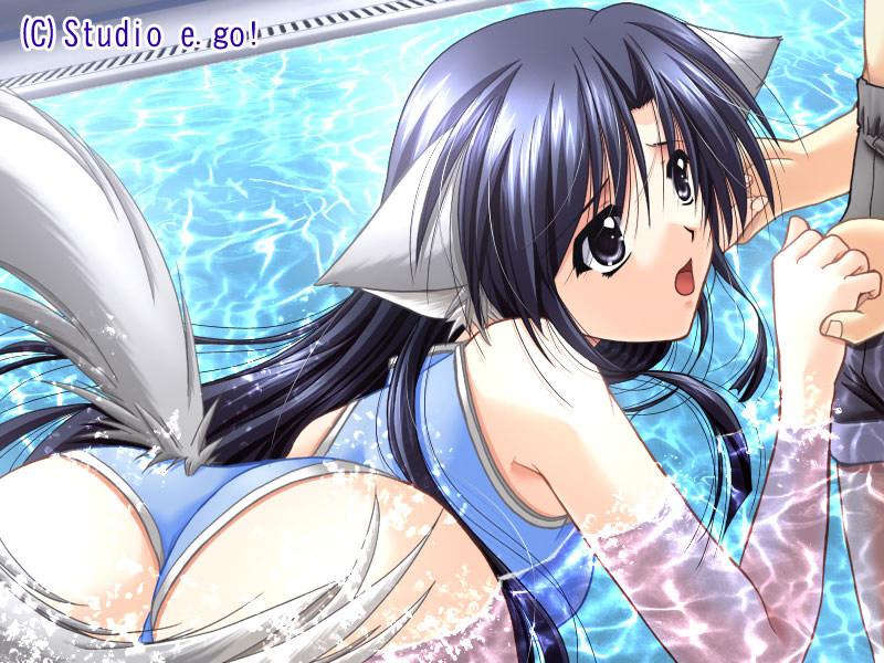 game cg, 1boy, 1girl, animal ears, black hair, blue hair, dog ears, grey eyes, long hair, swimsuit, wet