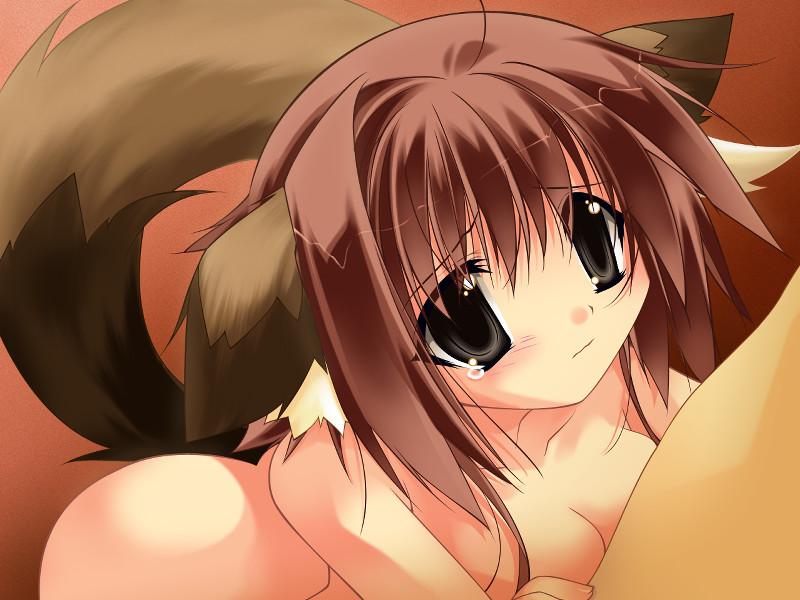 minazuki haruka, karin (relict), aniseed (company), relict, game cg, 1girl, animal ears, black eyes, blush, breasts, brown hair, dog ears, no panties, nude, tears