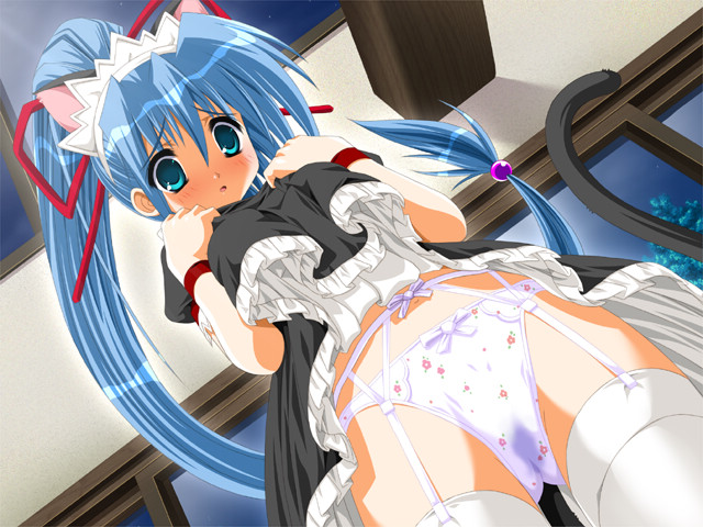 game cg, 1girl, animal ears, blue eyes, blue hair, cat ears, dress, female focus, garter belt, long hair, maid, matching hair/eyes, panties, ponytail, solo, thighhighs, underwear