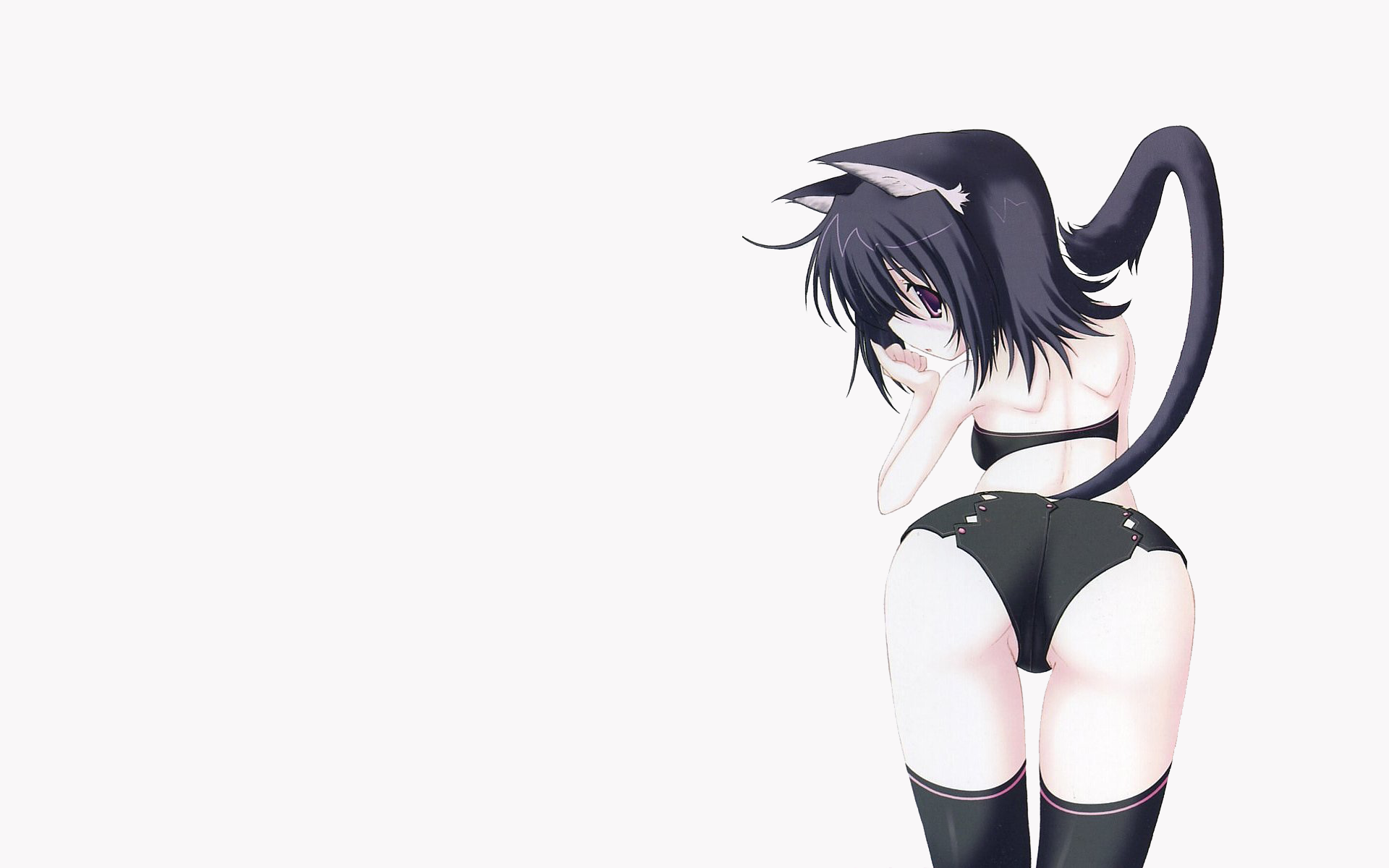 nanao naru, black x pink, highres, animal ears, cat ears, cat tail, tail, thighhighs