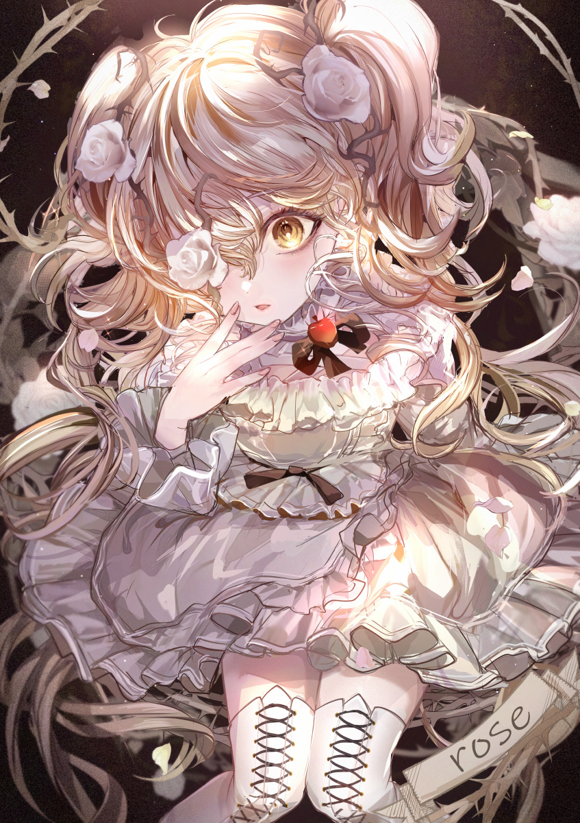 komorihikki, kirakishou, rozen maiden, commentary request, highres, 1girl, blonde hair, dress, flower, flower over eye, hair flower, hair ornament, lolita fashion, long hair, looking at viewer, parted lips, plant, rose, solo, thighhighs, thorns, vines, white dress, white flower, white rose, wide-eyed, yellow eyes