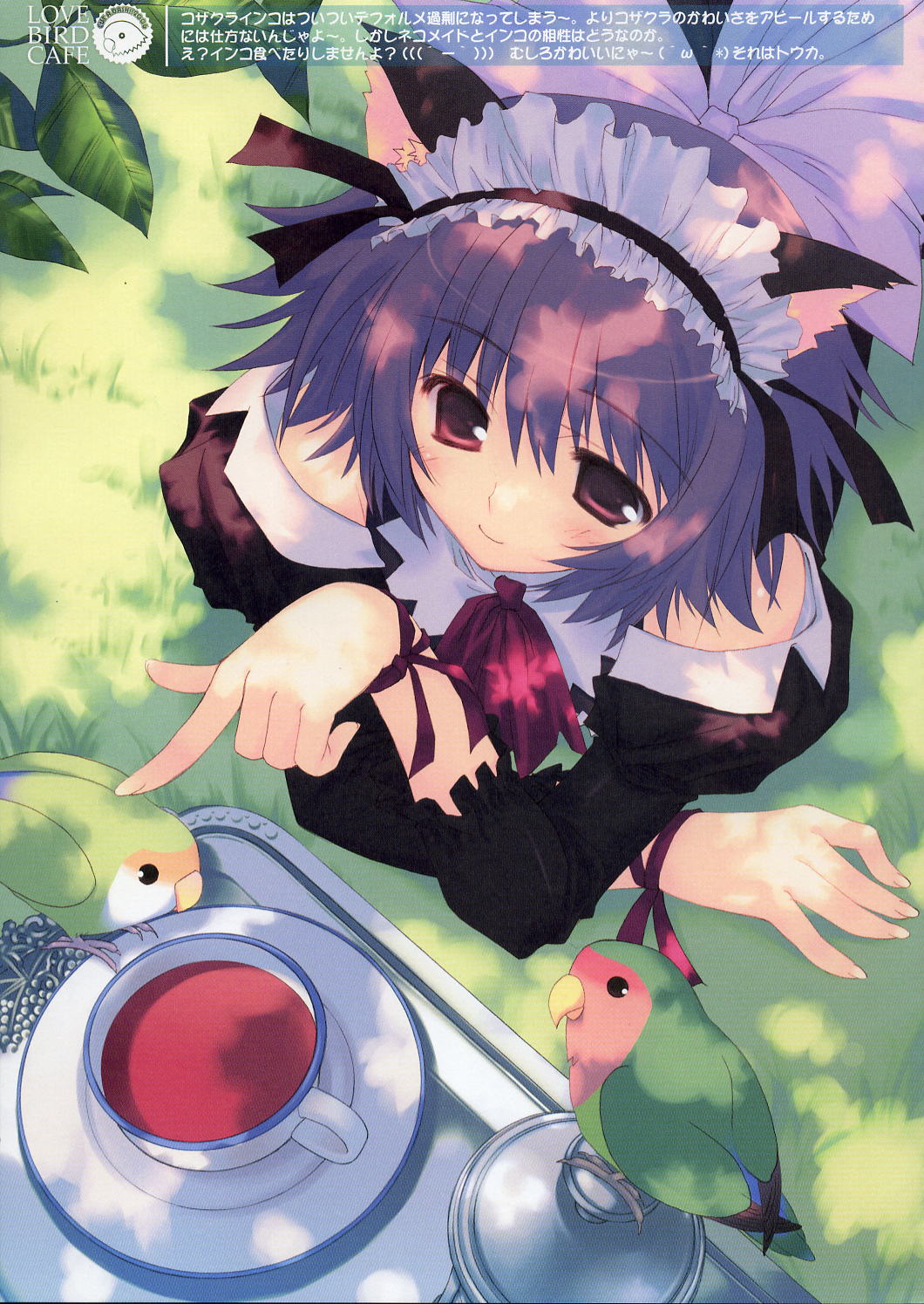 highres, animal ears, bird, bow, cat ears, dress, maid, parrot, purple eyes, purple hair, ribbon, short hair