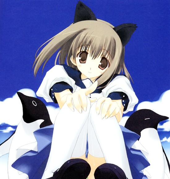 tagme, animal ears, blush, cat ears, panties, underwear