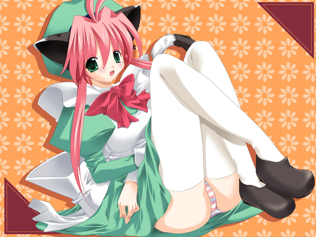 animal ears, blush, cat ears, cat tail, long hair, maid, panties, skirt, tail, thighhighs, underwear