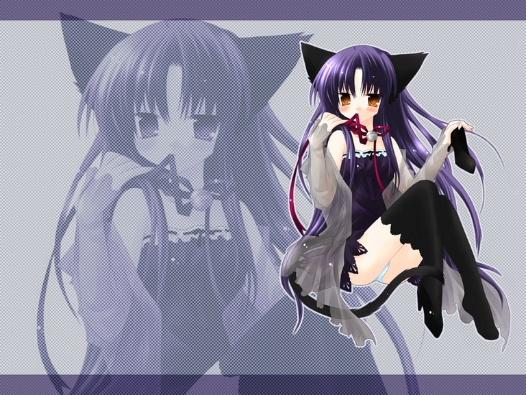tobari (pure pure), pure pure, tagme