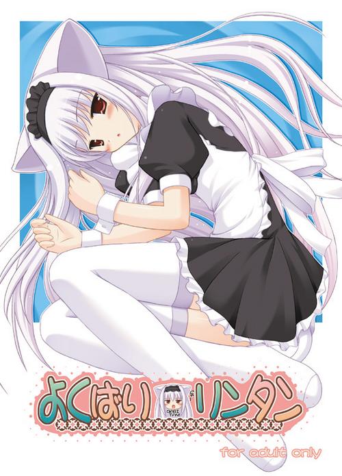 yokubari saboten, animal ears, apron, blush, bow, cat ears, cuffs, dress, long hair, maid, maid apron, red eyes, rin fujimiya, thighhighs, white hair