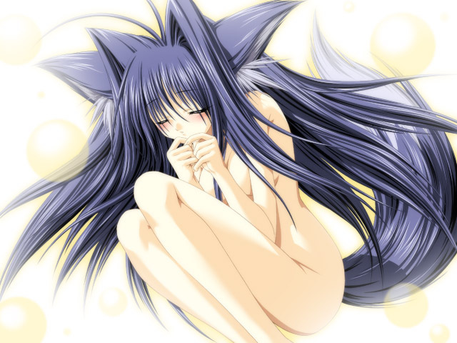 escude, metamor fantasy, game cg, 1girl, animal ears, blue hair, blush, breasts, female focus, fox ears, fox tail, long hair, nude, solo, tail