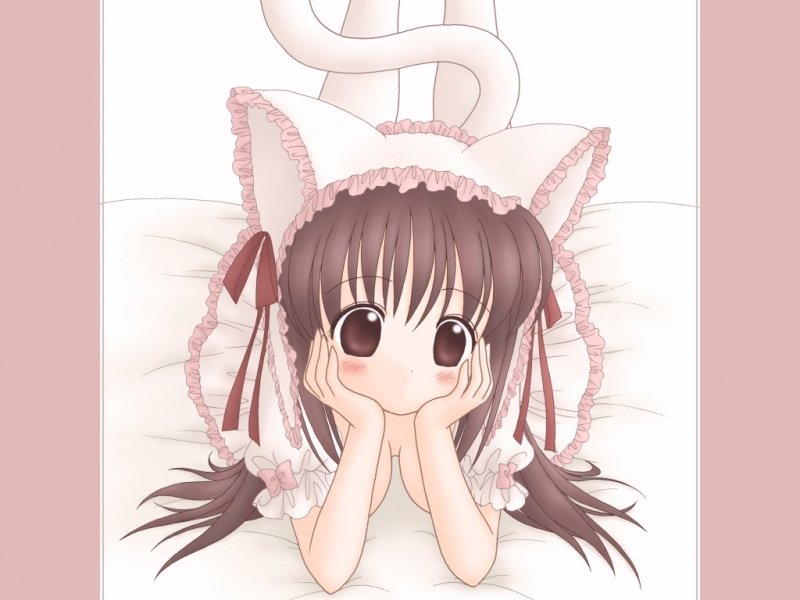 animal ears, blush, bow, breasts, brown eyes, brown hair, cat ears, dress, loli, long hair, thighhighs