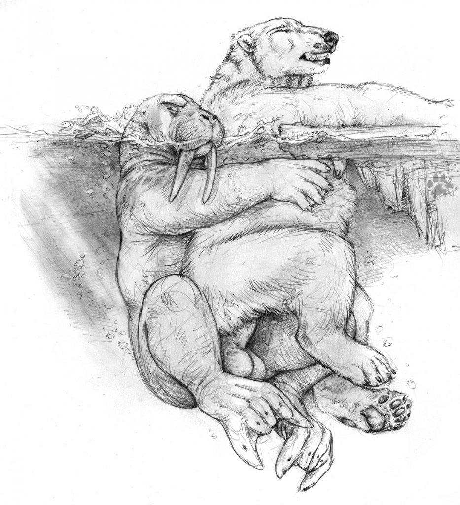 Rule34 – If it exists, there is porn of it / blotch, flipper, tusk / 15822