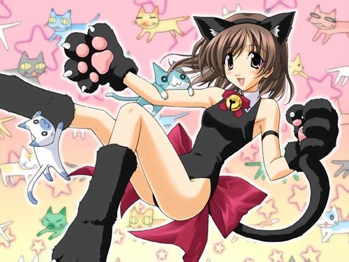 lowres, :3, animal ears, armband, bell, bow, brown eyes, brown hair, cat, cat ears, gloves, short hair