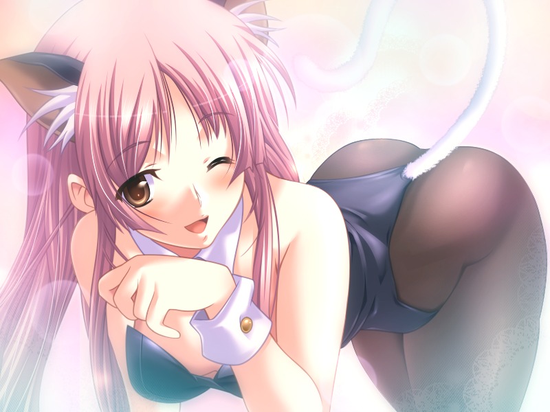 m&m, erika rouleburg, atelier kaguya, dungeon crusaderz, dungeon crusaderz tales of demon eater, game cg, 1girl, animal ears, bent over, blush, brown eyes, cat ears, cat tail, female focus, kittysuit, nontraditional playboy bunny, one eye closed, pantyhose, pink hair, solo, tail, wink