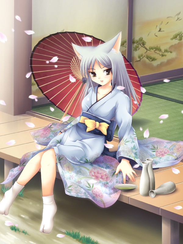 alcohol, animal ears, brown eyes, cat ears, grey hair, japanese clothes, kimono, long hair, sake, tabi, umbrella, white hair
