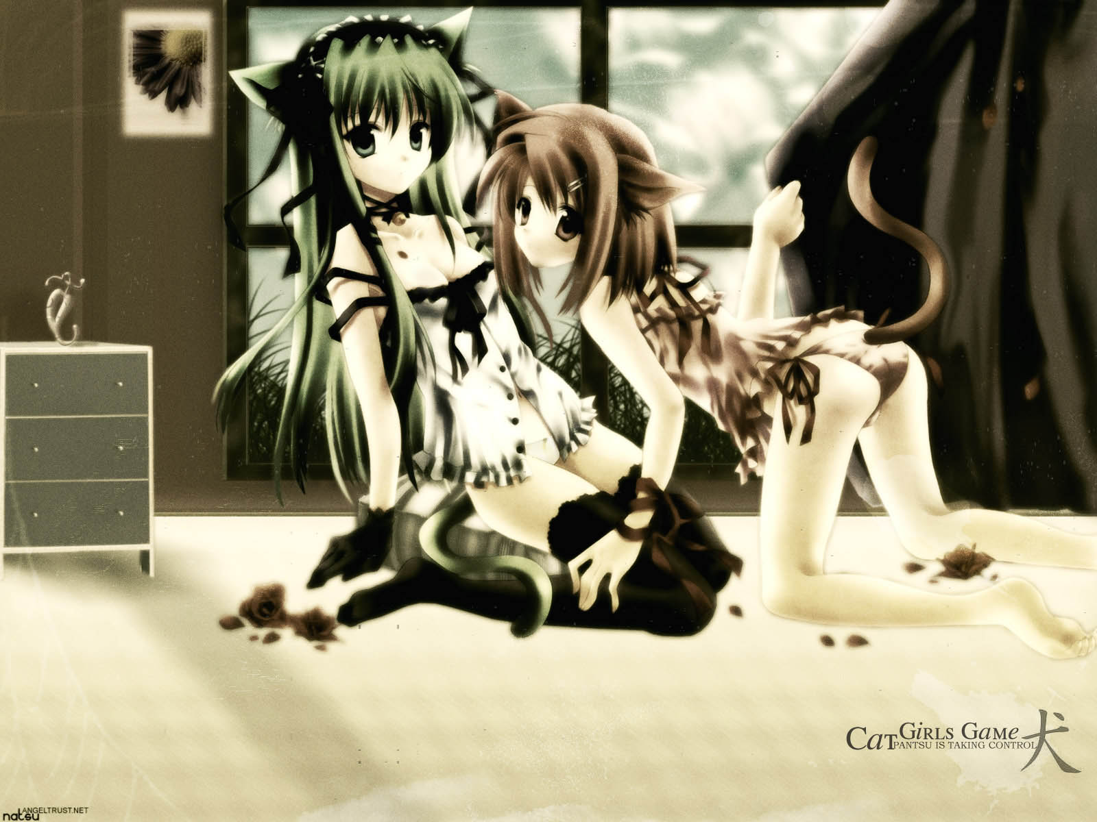 highres, 2girls, animal ears, barefoot, bow, brown eyes, brown hair, cat ears, collar, feet, flat chest, flower, gloves, green eyes, green hair, long hair, multiple girls, panties, ribbon, rose, short hair, side-tie panties, thighhighs, underwear