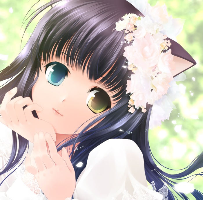 animal ears, black hair, blue eyes, cat ears, dress, flower, heterochromia, long hair, odd eyes, yellow eyes