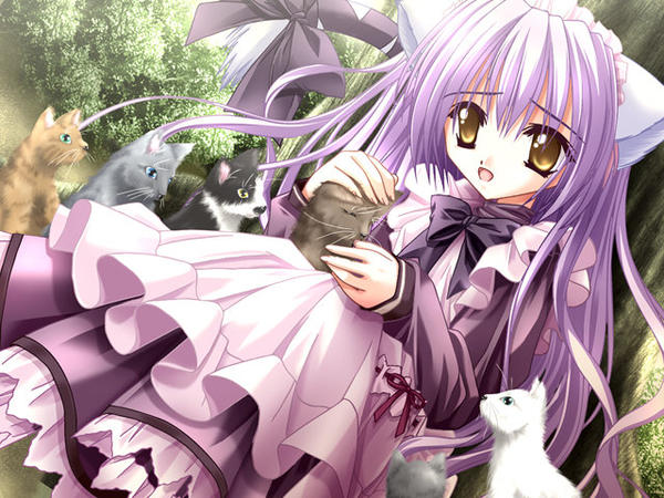 tinker bell (pixiv 10956015), cafe little wish, game cg, 1girl, animal ears, bow, cat, cat ears, dress, female focus, long hair, maid, purple hair, ribbon, solo, yellow eyes