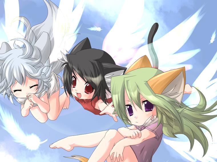 3girls, animal ears, black hair, cat ears, cat tail, closed eyes, flying, green hair, looking at viewer, multiple girls, purple eyes, purple shirt, red eyes, shirt, tail, white hair, white shirt, wings