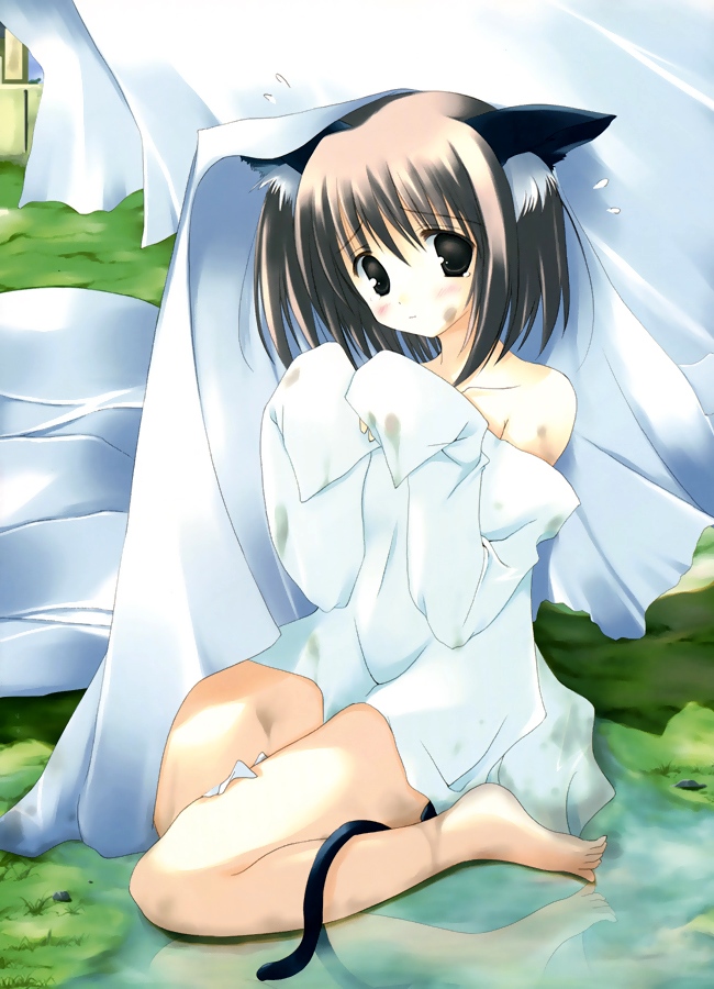 animal ears, barefoot, bed sheet, blush, brown eyes, brown hair, cat ears, cat tail, dirty, feet, tail, toes, water