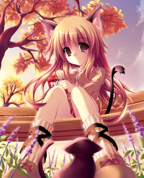 animal ears, bow, brown eyes, brown hair, cat, cat ears, cat tail, flower, food, kneehighs, long hair, pocky, shoes, skirt, socks, tail