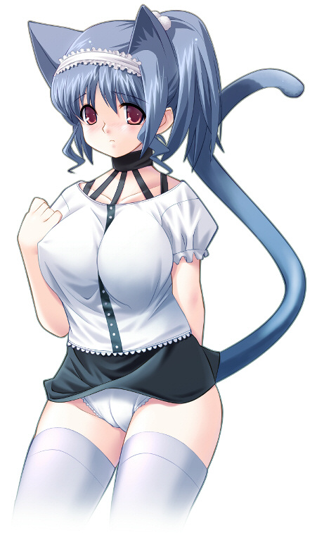 animal ears, blue hair, cat ears, cat tail, panties, red eyes, tail, thighhighs, underwear