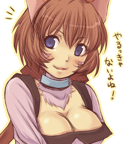 tabby, tabby (.hack//), .hack//, .hack//g.u., bandai, cyber connect 2, translation request, 00s, 1girl, animal ears, blue eyes, breasts, cat ears, cleavage, female focus, large breasts, red hair, solo