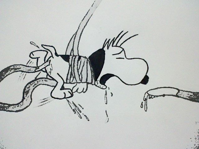 Rule34 – If it exists, there is porn of it / snoopy / 16618
