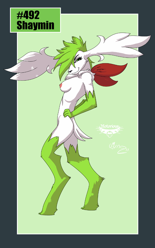 Rule34 – If it exists, there is porn of it / mingchee, notorious, shaymin / 16620
