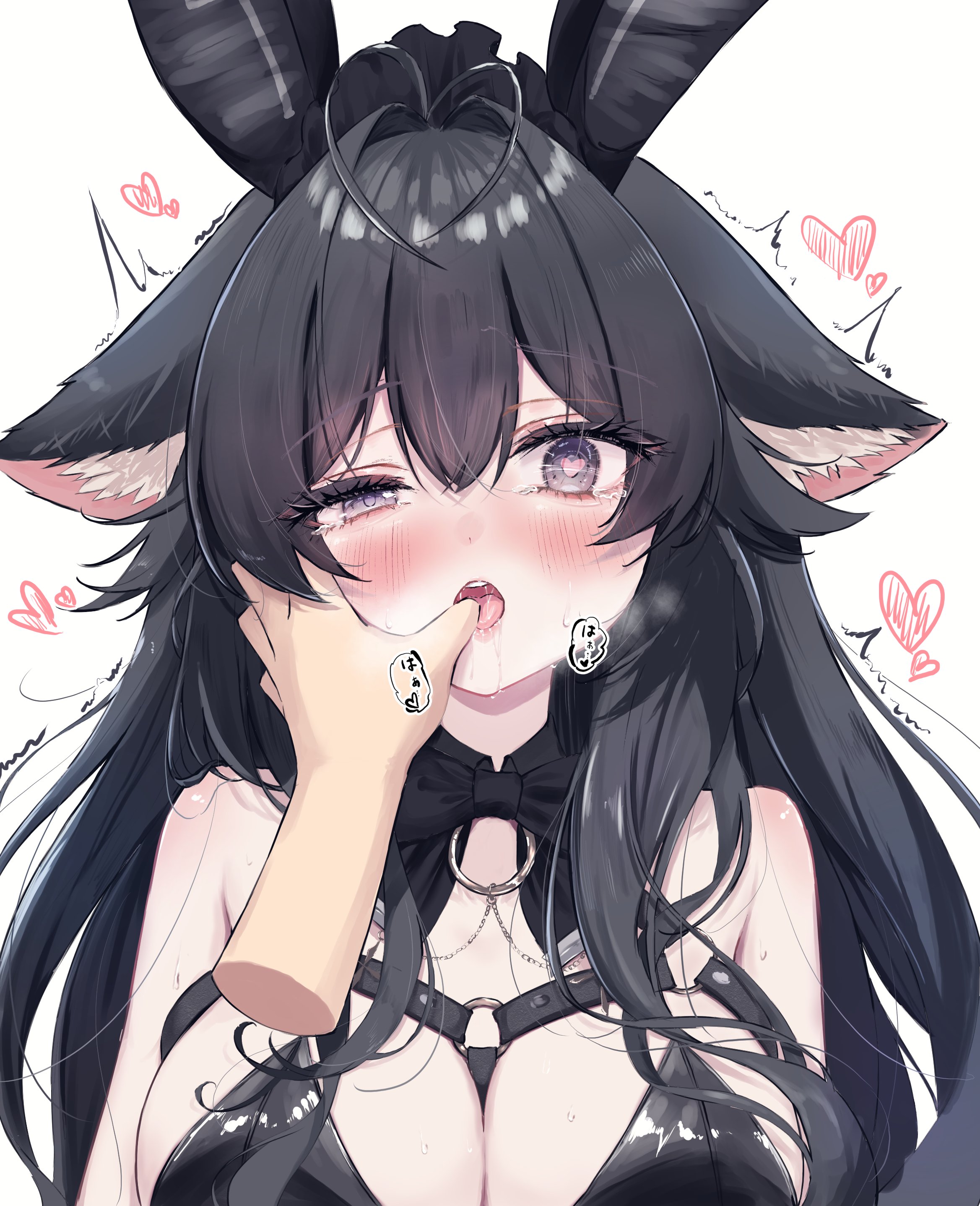 ashiyu0330, original, absurdres, character request, commentary request, highres, 1girl, 1other, animal ear fluff, animal ears, antenna hair, black bow, black bowtie, black collar, black hair, black leotard, blush, bow, bowtie, breasts, chest harness, cleavage, collar, drooling, finger in another's mouth, hair intakes, harness, heart, heart-shaped pupils, heart antenna hair, large breasts, leotard, long hair, looking at viewer, loving aura, o-ring, o-ring harness, pov, pov hands, purple eyes, saliva, simple background, solo focus, sweat, symbol-shaped pupils, tongue, twitching, uneven eyes, upper body, white background