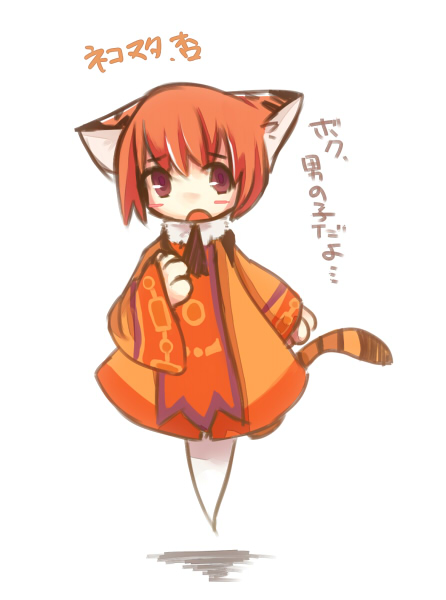 akamomosiro, emil chronicle online, 1boy, 1girl, animal ears, blush stickers, brown eyes, cat boy, cat ears, cat tail, character name, dress, ghost boy, ghost tail, nekomata, nekomata anzu, open mouth, orange dress, orange hair, solo, tail, white background