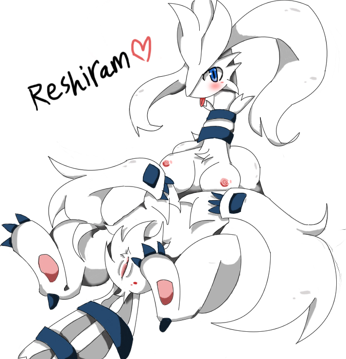 Rule34 – If it exists, there is porn of it / reshiram / 17257